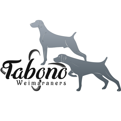 Tabono Weims